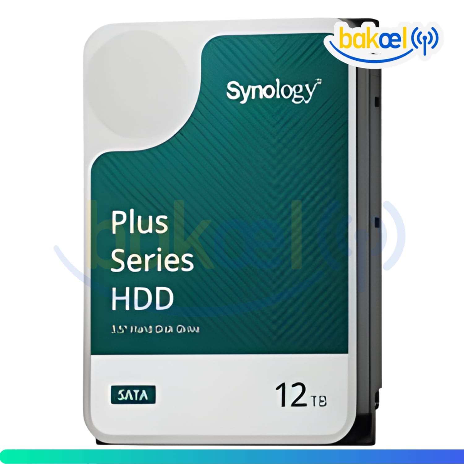 SYNOLOGY-HAT3300-12T 2