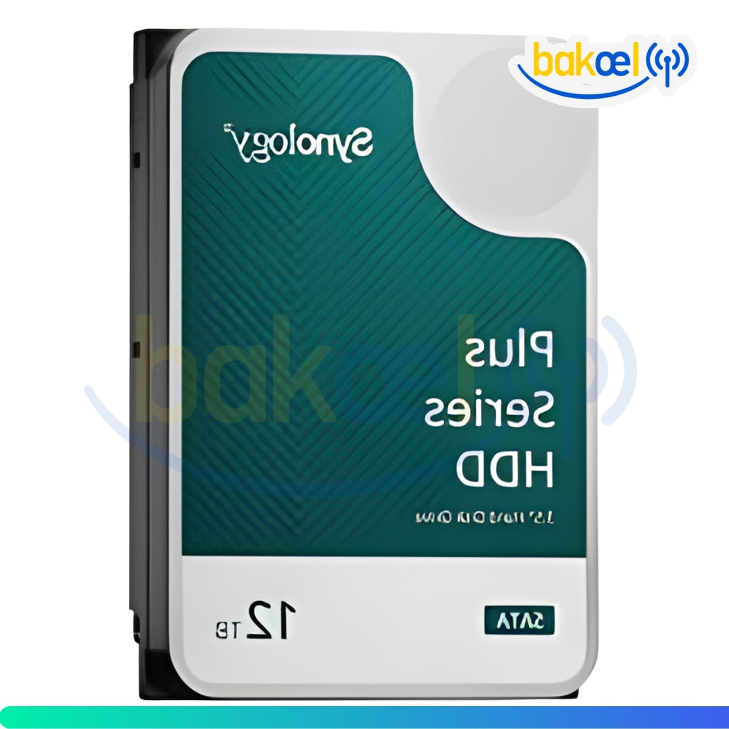 SYNOLOGY-HAT3300-12T 3